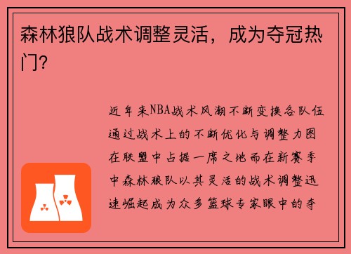 森林狼队战术调整灵活，成为夺冠热门？